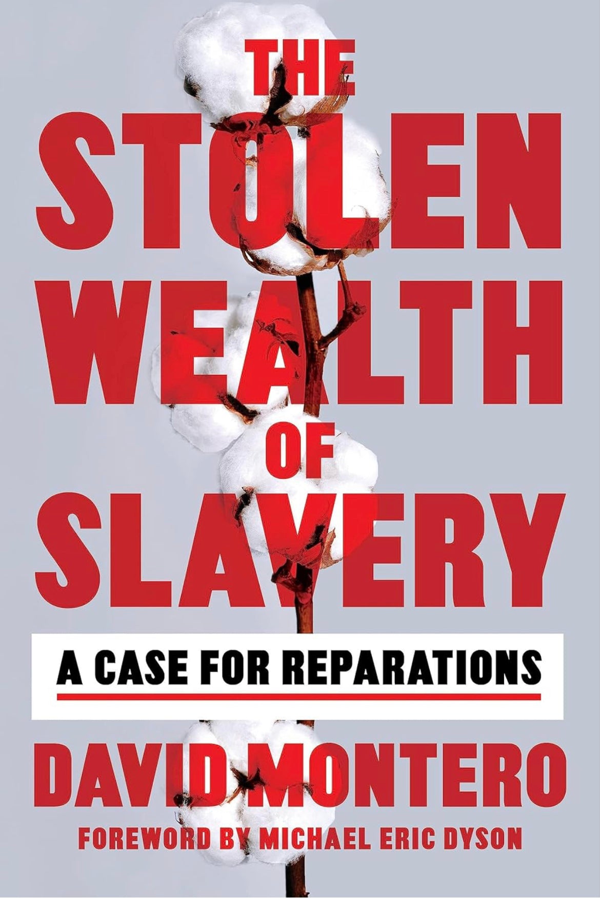 The Stolen Wealth of Slavery: A Case for Reparations