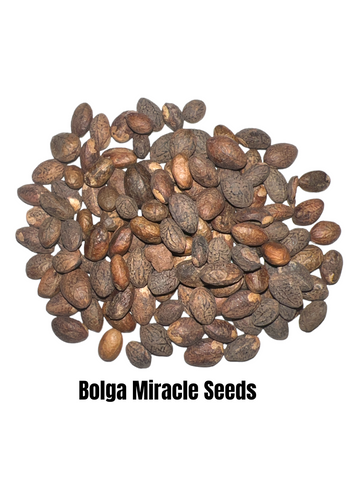 Bolga Miracle Seeds free shipping